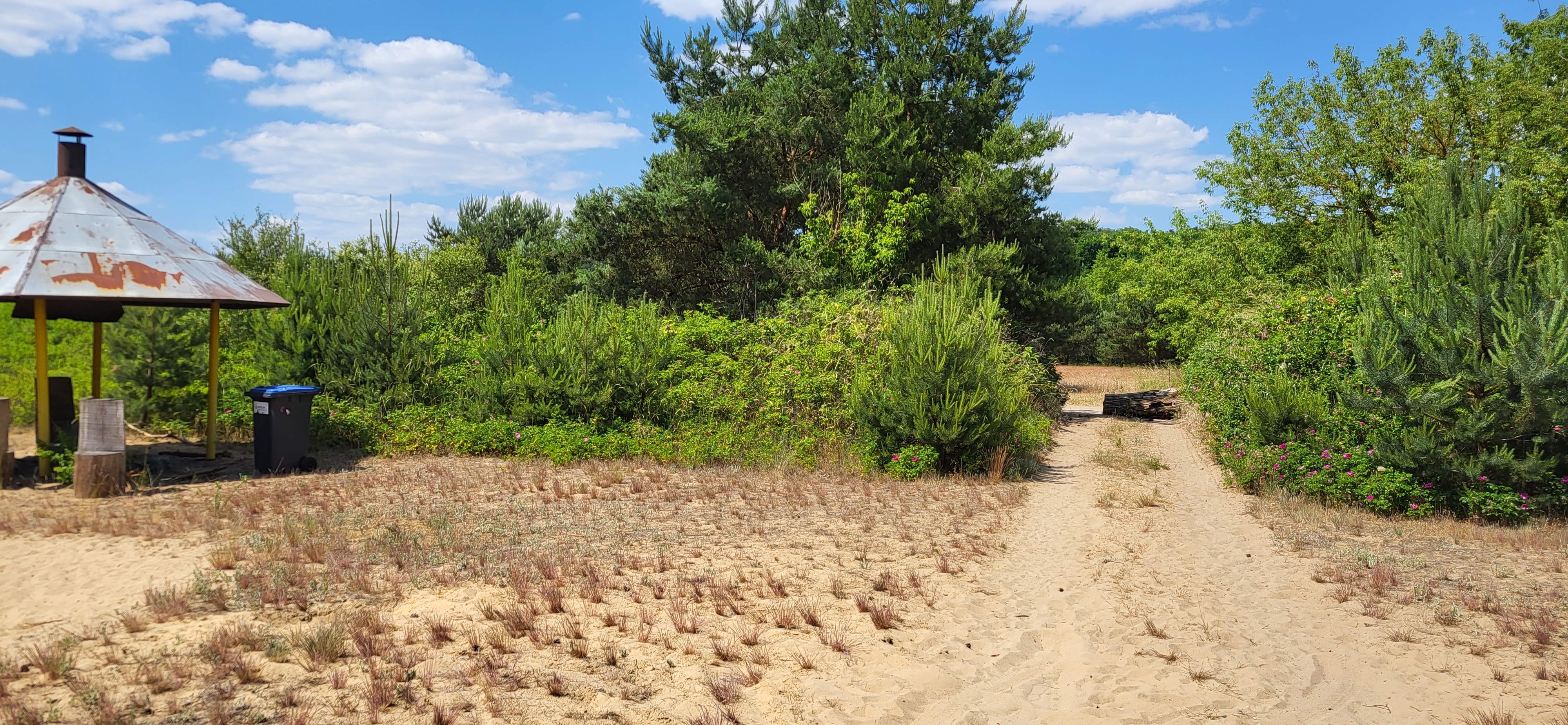 Dauercamper-Parzelle leer